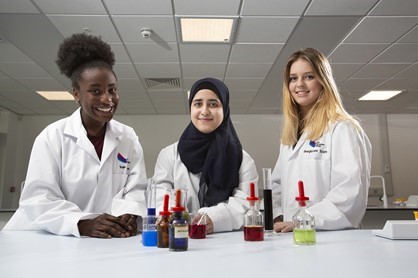 The School Of Medicine