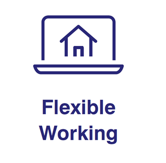 WLC Flexible Working Logo 2